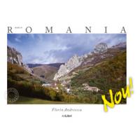 Made in Romania (român&#259;)