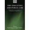 The Executive and Public Law Power and Accountability in Comparative Perspective (Hardback)