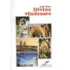 Divina vindecare
