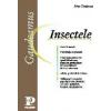 Insectele