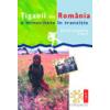 Tiganii din Romania