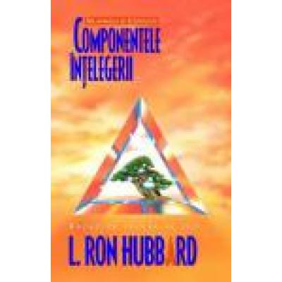 Componentele înţelegerii