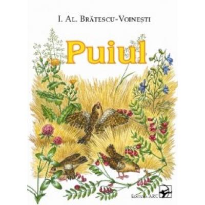 Puiul
