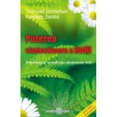 Puterea vindecatoare a bolii (Boala ca drum): Importanta si semnificatia simptomelor bolii