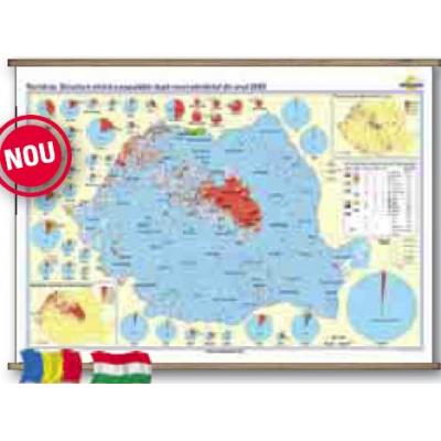 ROMANIA. STRUCTURA ETNICA A POPULATIEI DUPA RECENSAMANTUL DIN ANUL 2002