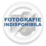 Editura InfoData