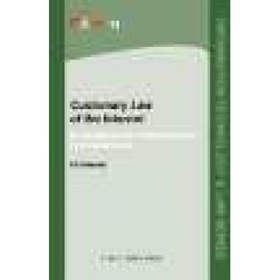 Customary Law of the Internet. Volume 13